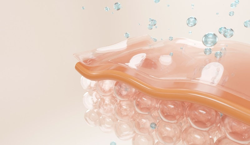 Kako na vlaženje in elastičnost kože vplivata hialuronska kislina in koencim Q10?