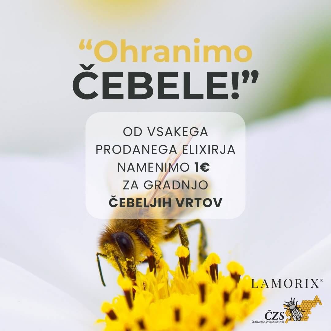 OHRANIMO ČEBELE (2) (1).jpg__PID:b6def0e0-0011-42d2-a403-af2ee48bf095